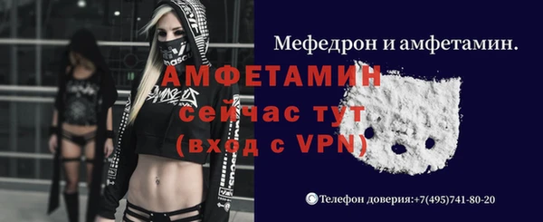амф Краснослободск