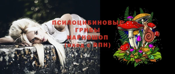 мескалин Коряжма