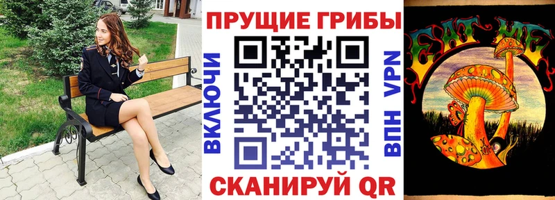 Псилоцибиновые грибы Cubensis  Мариинский Посад 